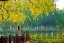即时足球比赛比分-即时足球比赛比分，科技赋能下的实时观赛新体验